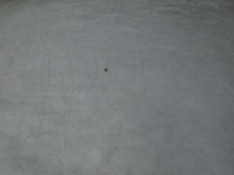P7019160
