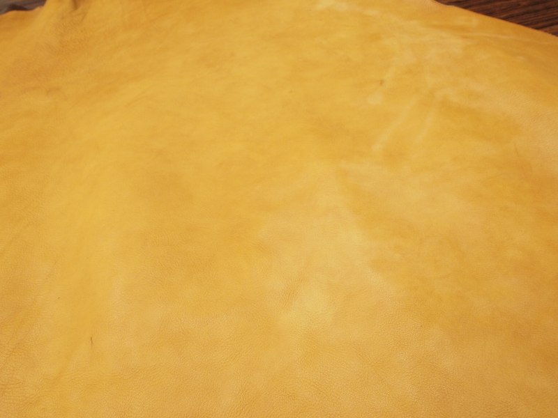 P7019213
