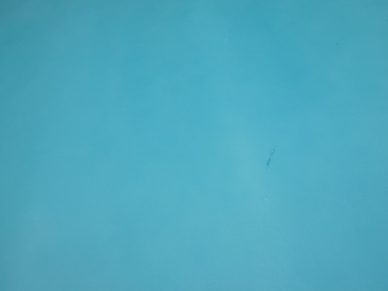 P7159529