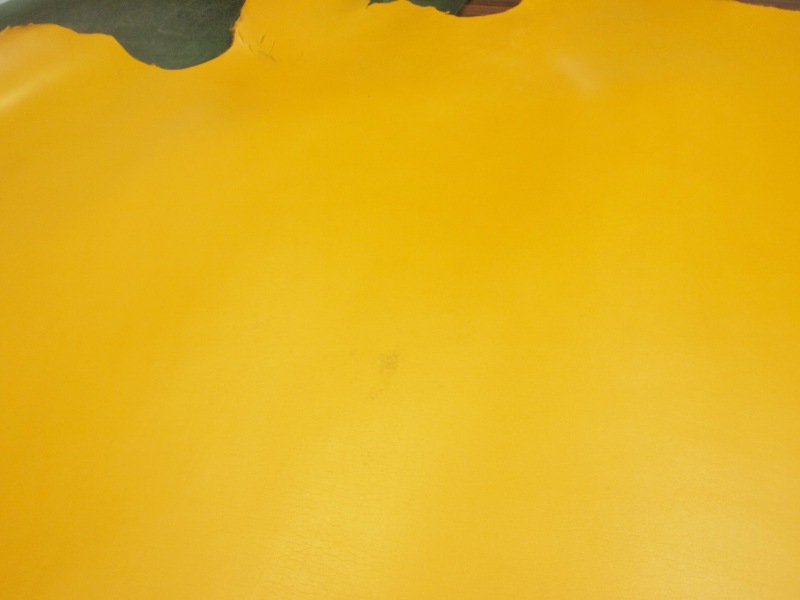 P7229682