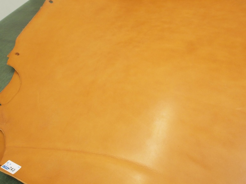 P9020499