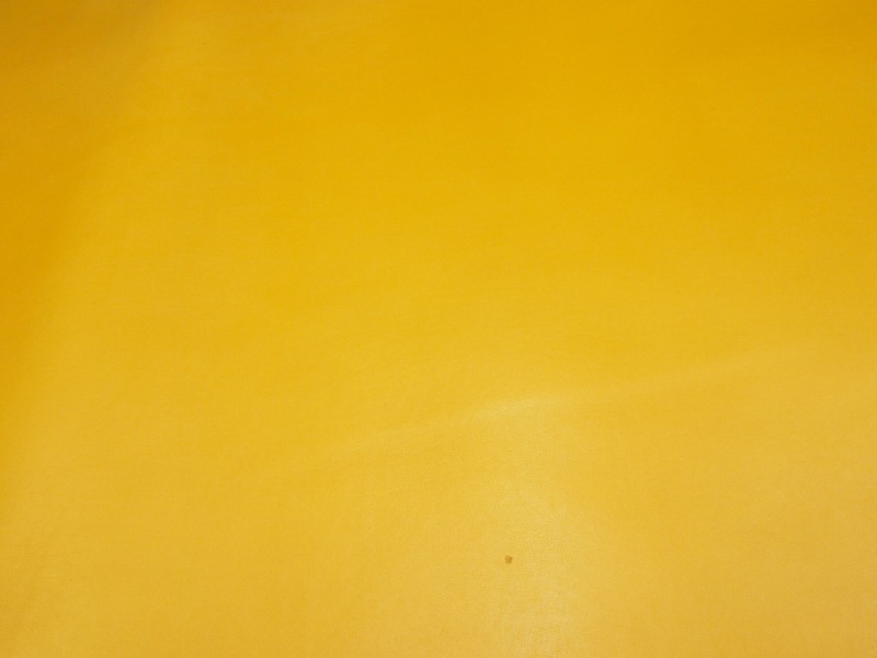 Pa011147