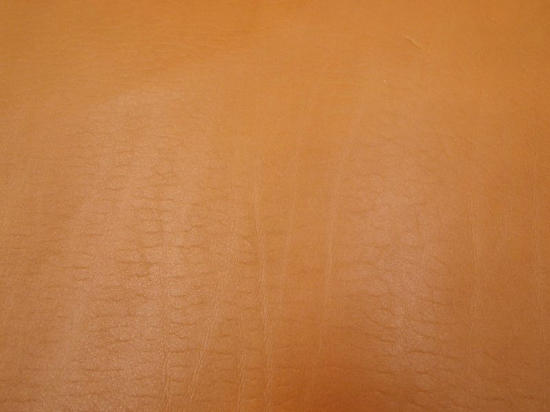 Pa071222