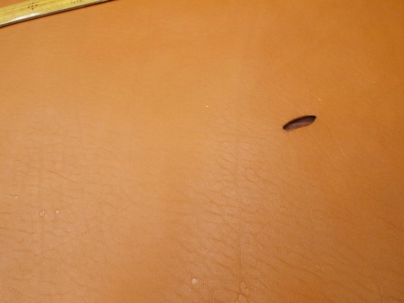 Pa071225