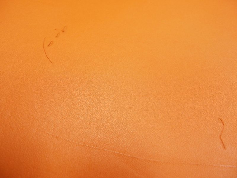 Pa071239