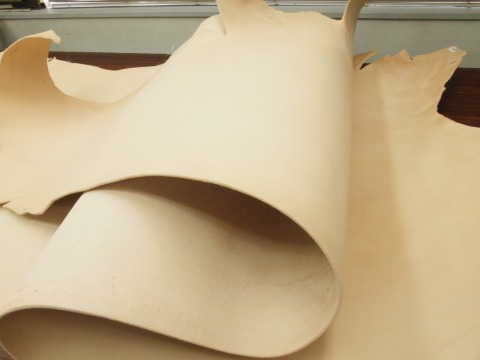 P5084254