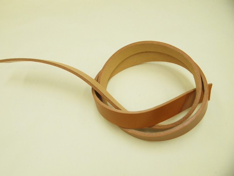 P5288650