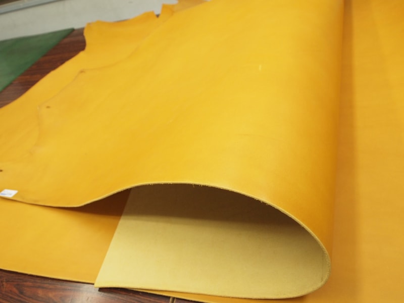 Mjpa094655