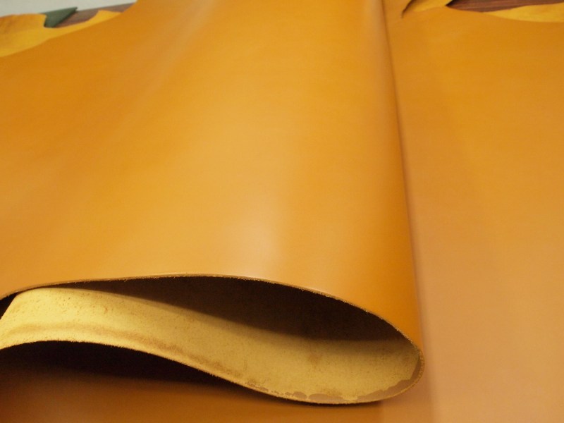 P6050341