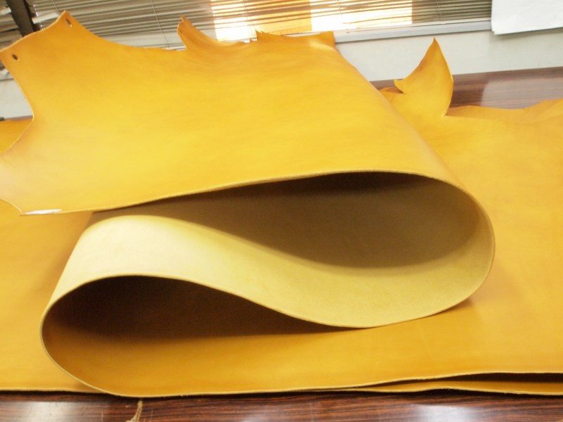 P7291747