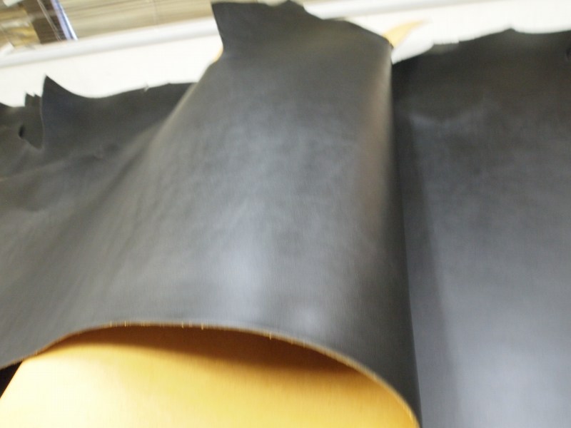 Pa011086